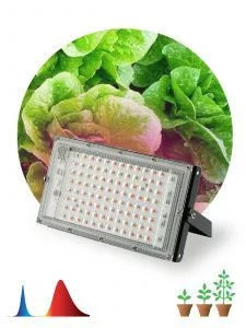 Фитопрожектор для растений светодиодный ЭРА FITO-80W-RB-LED-Y красно-синего спектра