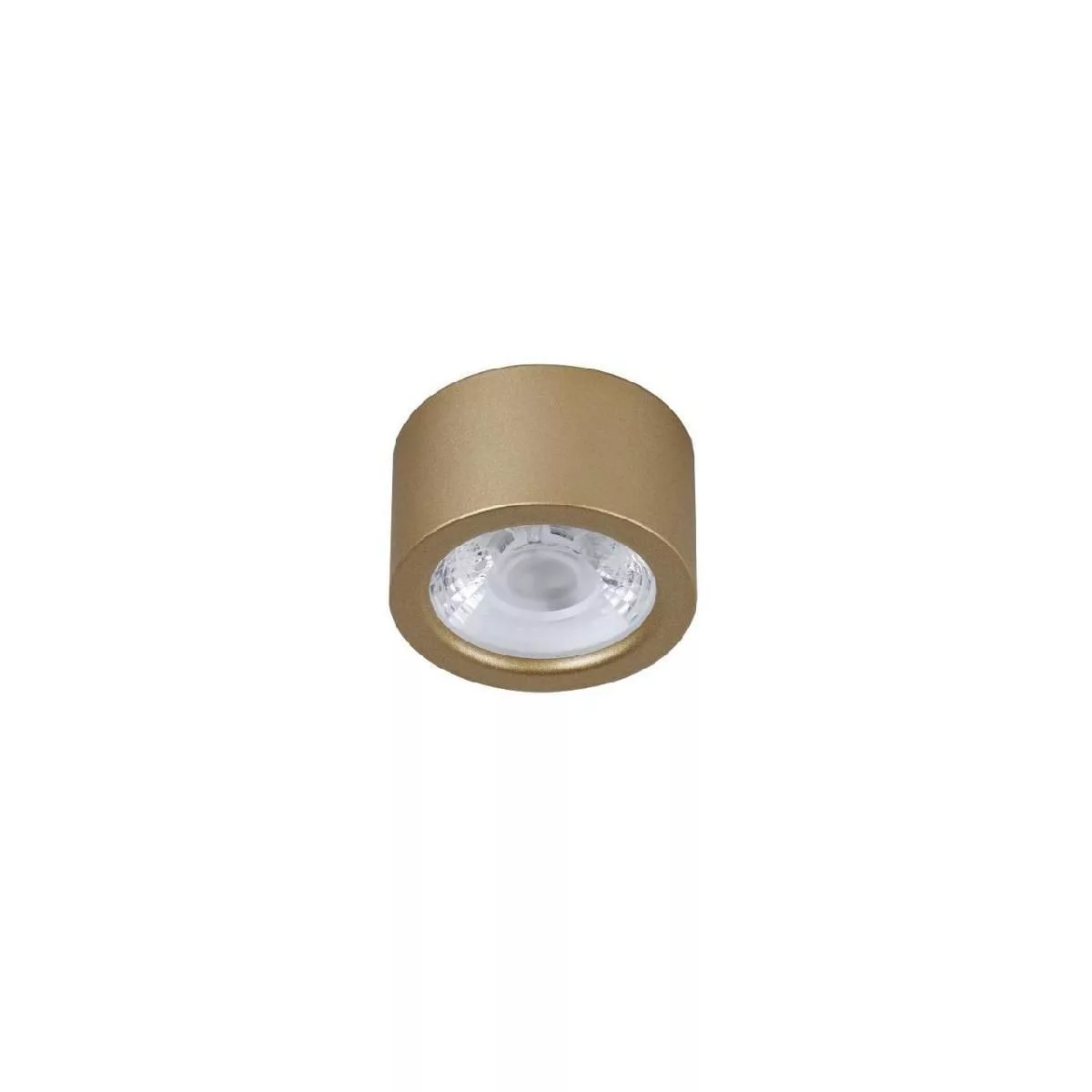 Потолочный светильник Favourite Deorsum 2807-1U