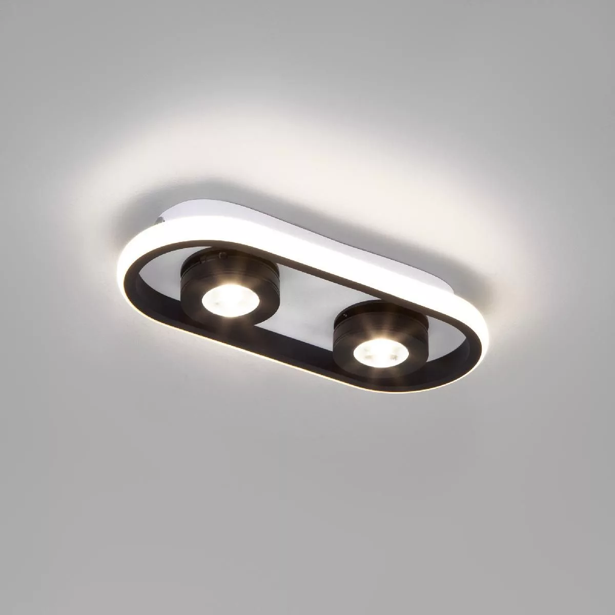 Потолочный светильник Eurosvet белый / черный 20123/2 LED