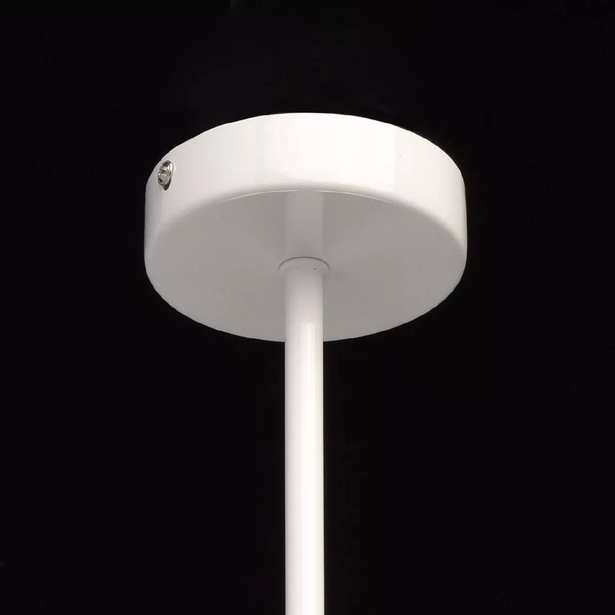 Потолочный светильник De Markt Астор белый 545012506