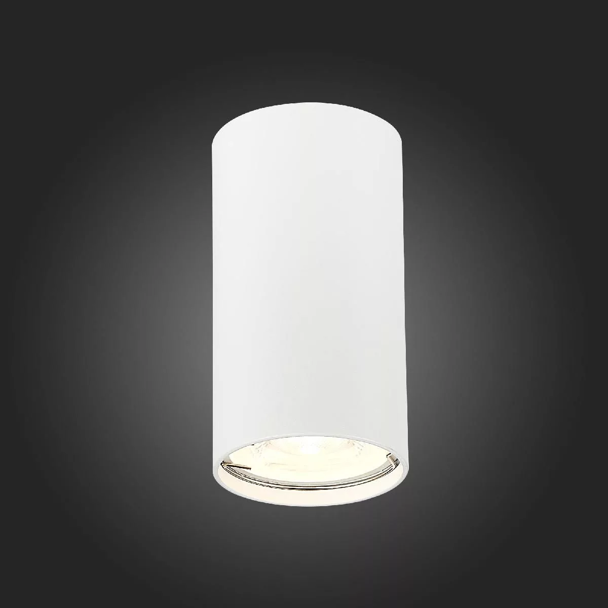 Светильник потолочный Белый GU10 1*50W  D54xH100 220V Без ламп Накладные светильники ST110.507.01