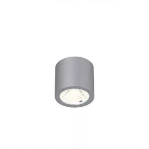 Потолочный светильник Favourite Deorsum 2808-1C
