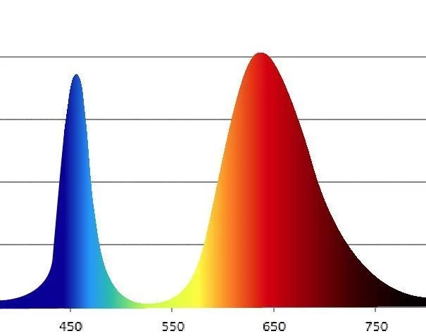 Фитолампа для растений светодиодная ЭРА FITO-12W-RB-E27-K красно-синего спектра 12 Вт Е27
