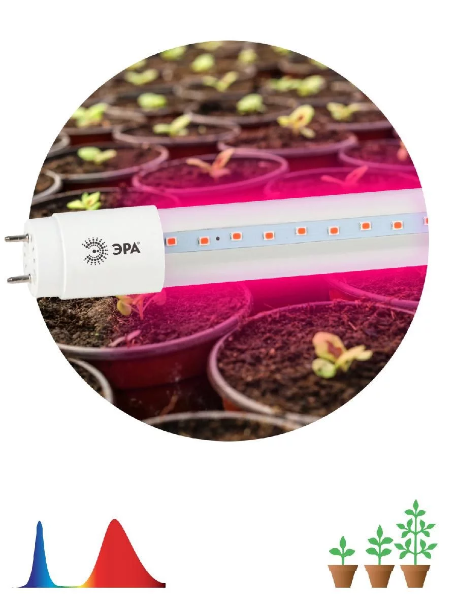 Фитолампа для растений светодиодная ЭРА FITO-18W-RB-Т8-G13-NL красно-синего спектра 18 Вт Т8 G13