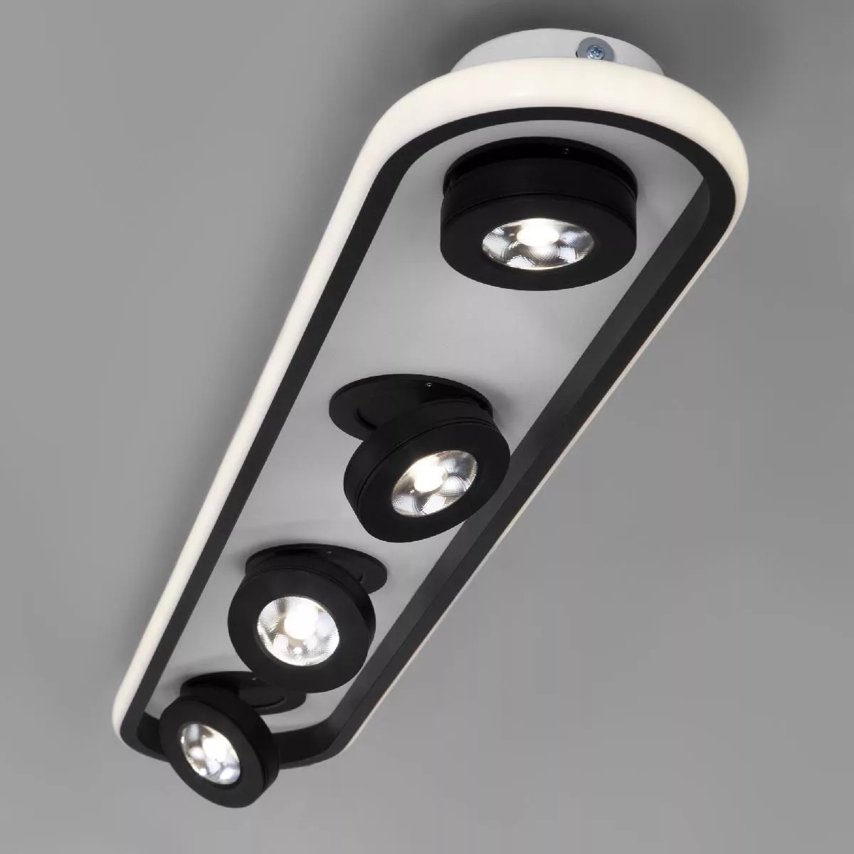 Потолочный светильник Eurosvet белый / черный 20123/4 LED