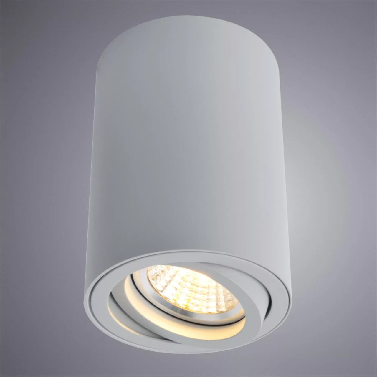  Arte Lamp SENTRY Серый A1560PL-1GY