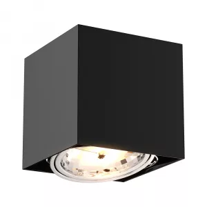 Потолочный светильник Zumaline BOX SL 1 90432-G9