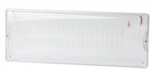 Аварийный светильник светодиодный ЭРА DPA-301-0-65 непостоянный 40LED 3ч IP65