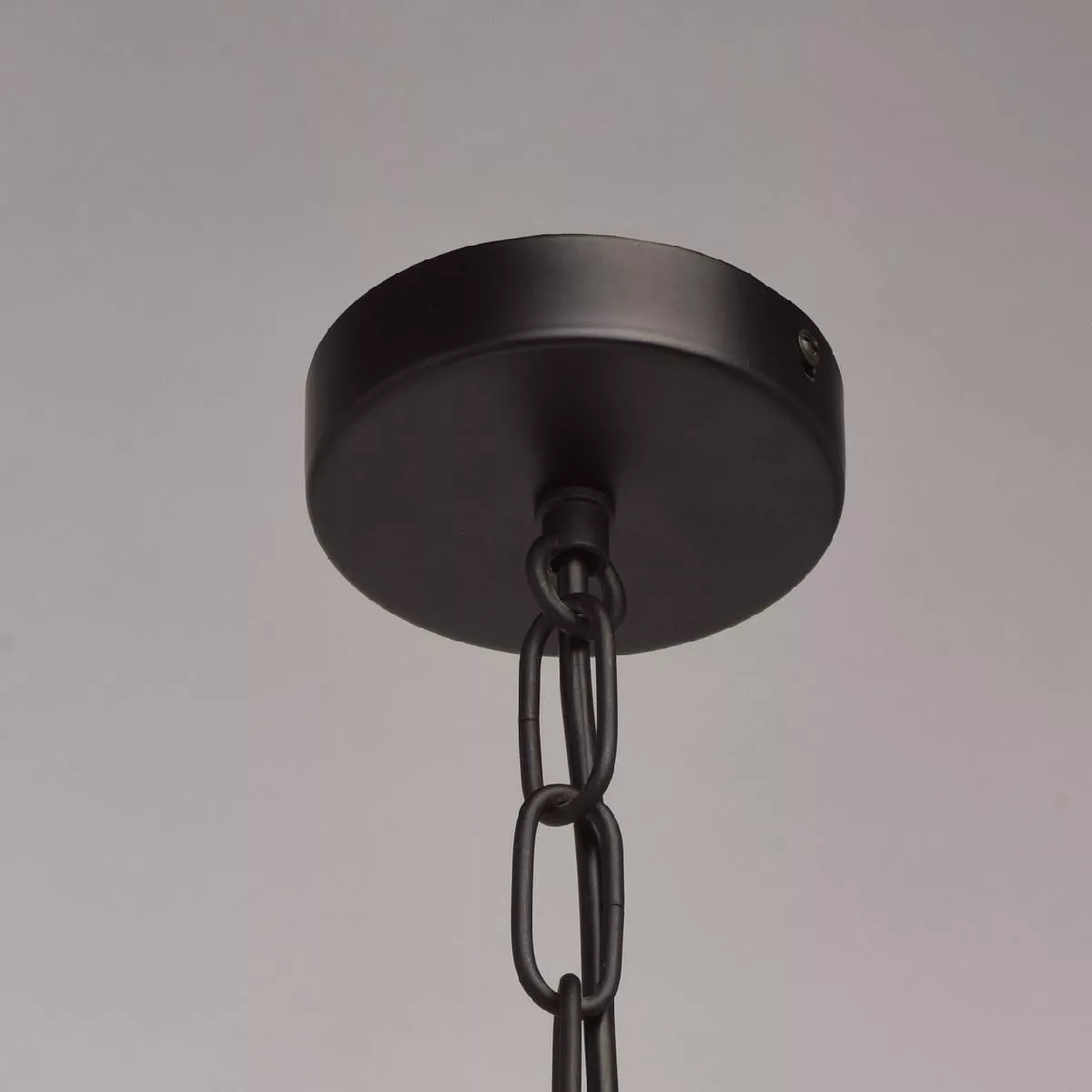 Потолочный светильник MW-Light Джестер чёрный 104010804