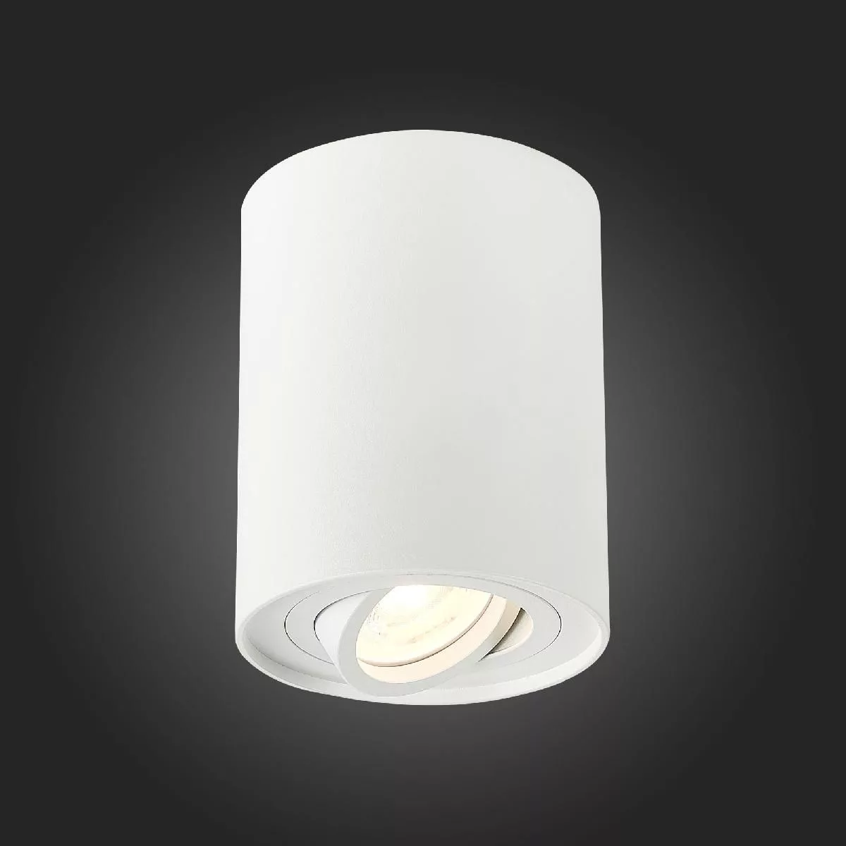 Светильник потолочный Белый GU10 1*50W  IP20 D98xH124 220V Без ламп Накладные светильники ST108.517.01
