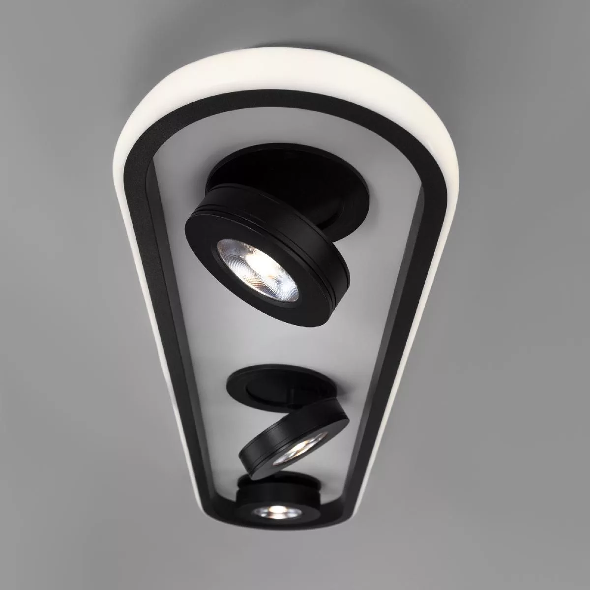 Потолочный светильник Eurosvet белый / черный 20123/3 LED