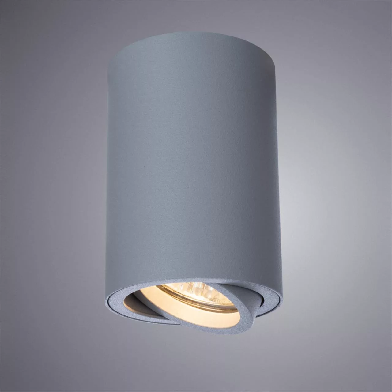  Arte Lamp SENTRY Серый A1560PL-1GY