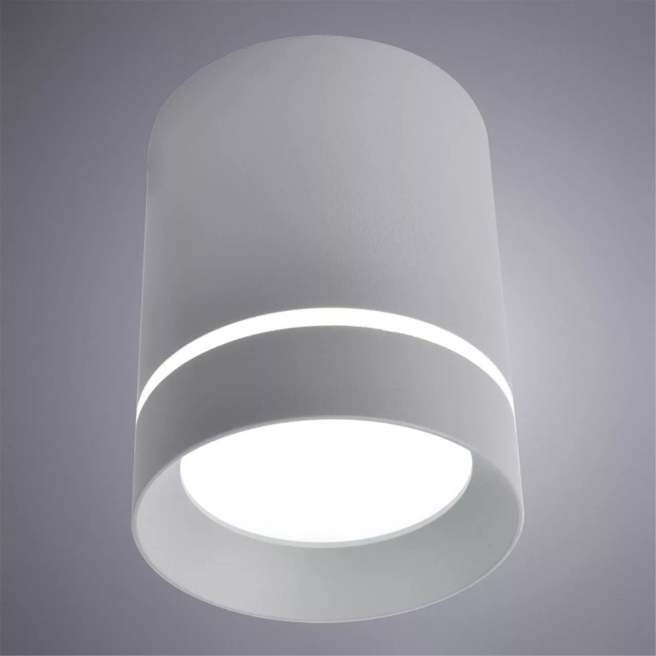  Arte Lamp ELLE Серый A1909PL-1GY