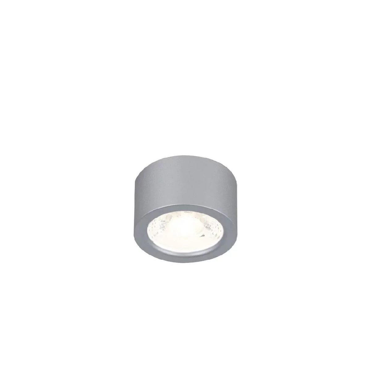 Потолочный светильник Favourite Deorsum 2808-1U