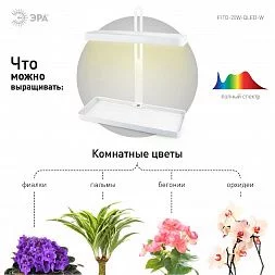 Настольный светильник для растений ЭРА FITO-20W-QLED-W полного спектра 20 Вт белый