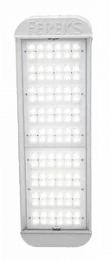 Светодиодный уличный светильник ДКУ 01-234-50-Д120