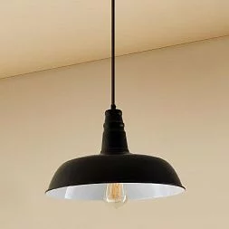Подвесной светильник Citilux Эдисон Черный + Белый CL450205
