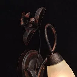 Настенный светильник MW-Light Аида коричневый 323023801