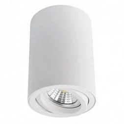  Arte Lamp SENTRY Белый A1560PL-1WH