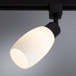 Трековый светильник Arte Lamp MIIA Черный A3055PL-1BK