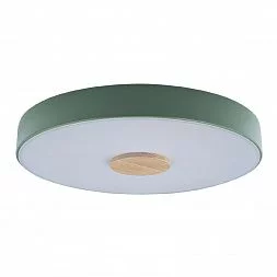 Потолочный светильник LOFT IT Axel 10003/24 Green