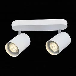 Спот ST-Luce Белый, Хром/Белый GU10 LED 2*3W Потолочные светильники SL597.501.02
