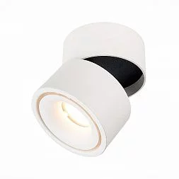 Светильник потолочный Белый LED 1*12W 4000K 1 000Lm Ra>90 36° IP20 D100xH105 170-240VV Накладные светильники ST652.542.12