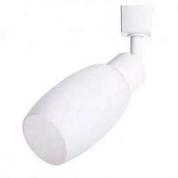 Трековый светильник Arte Lamp MIIA Белый A3055PL-1WH