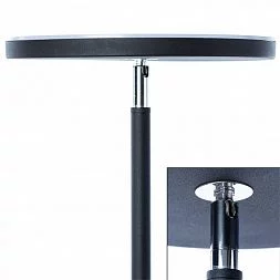 Торшер Arte Lamp SCEPTRUM Черный A1822PN-1BK