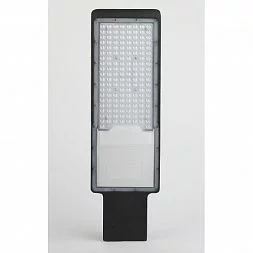 Уличный светильник ЭРА SPP-503-0-50K-120 120Вт 5000К 12000Лм IP65 КСС Ш-с DOB-SMD 48/60мм