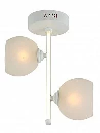 Светильник потолочный HIPER H805-2 2*E27*60Вт + LED 14Вт WHITE