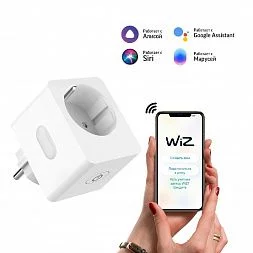 Умная Wi-Fi розетка Gauss Smart Home 10A 2300W c заземлением управление голосом/смартфоном 1/6