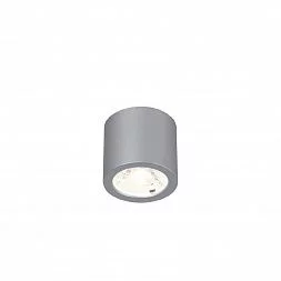 Потолочный светильник Favourite Deorsum 2808-1C