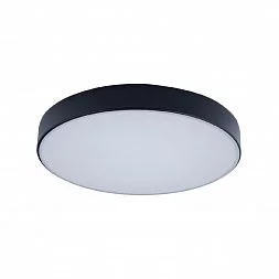 Потолочный светильник LOFT IT Axel 10002/24 Black