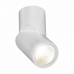 Светильник потолочный Белый LED 1*10W 4000K 800Lm Ra>90 38° IP44 D62xH151 165-265V Накладные светильники ST650.542.10