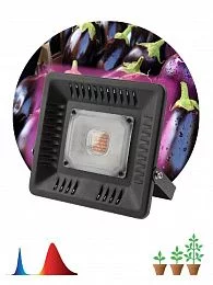 Фитопрожектор для растений светодиодный ЭРА FITO-50W-LED-BLUERED для цветения и плодоношения 50Вт красно-синего спектра