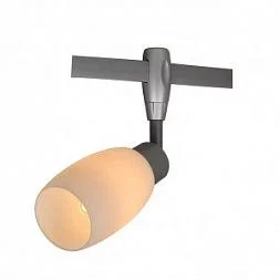 Трековый светильник Arte Lamp RAIL HEADS Серебристый A3059PL-1SI