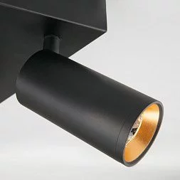 Потолочный светодиодный светильник Eurosvet черный/золото 20066/4 LED