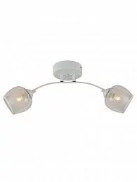 Светильник потолочный HIPER H807-2 2*E27*60Вт + LED 7Вт WHITE