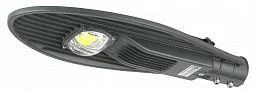Уличный светильник ЭРА SPP-5-60-5K-W 60Вт 5000К 6600лм IP65 КСС Ш IC-COB 48-60мм