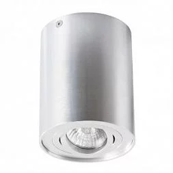 Потолочный светильник Arte Lamp FALCON Серебристый A5644PL-1SI