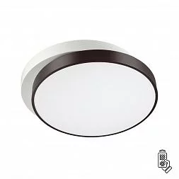 Настенно-потолочный светильник Lumion Ledio 4509/72CL