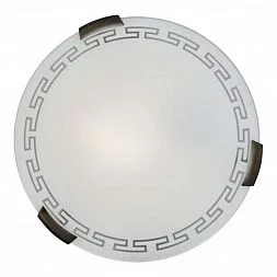 Настенно-потолочный светильник Сонекс GLASSI 2*60Вт Ø300 161/K
