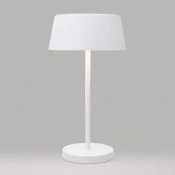 Светодиодная настольная лампа Eurosvet белый 80424/1